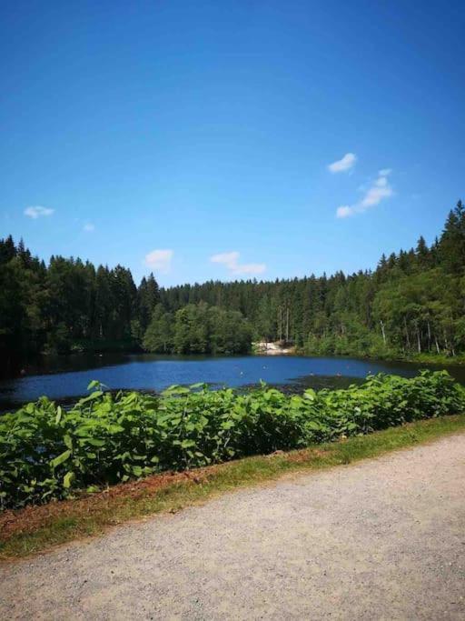 Ferienhaus In Schoenheide Im Schoenen Erzgebirge 外观 照片